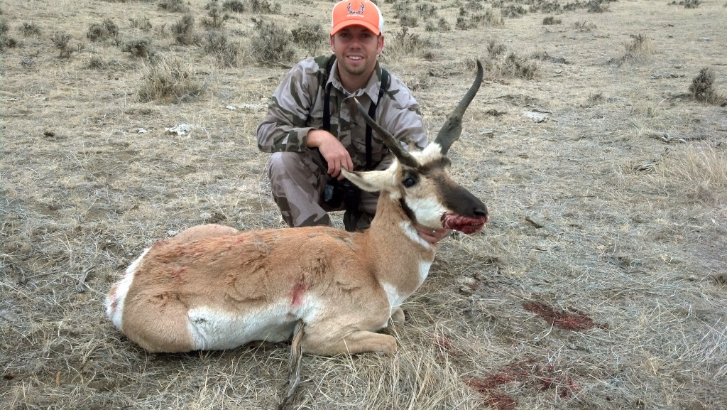 Antelope 1