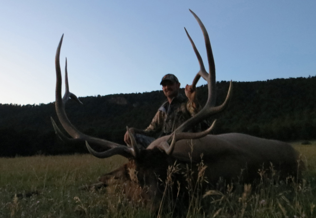 Jarrod_Power_Elk2